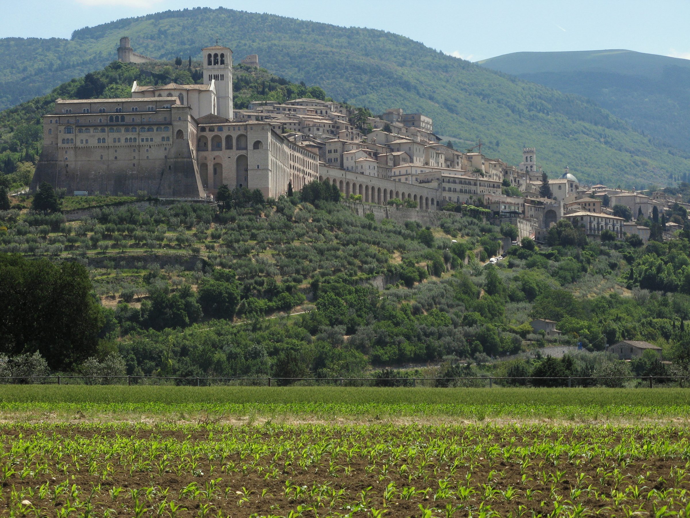 Assisi and the Basilica of Saint Francis above the Umbrian plain