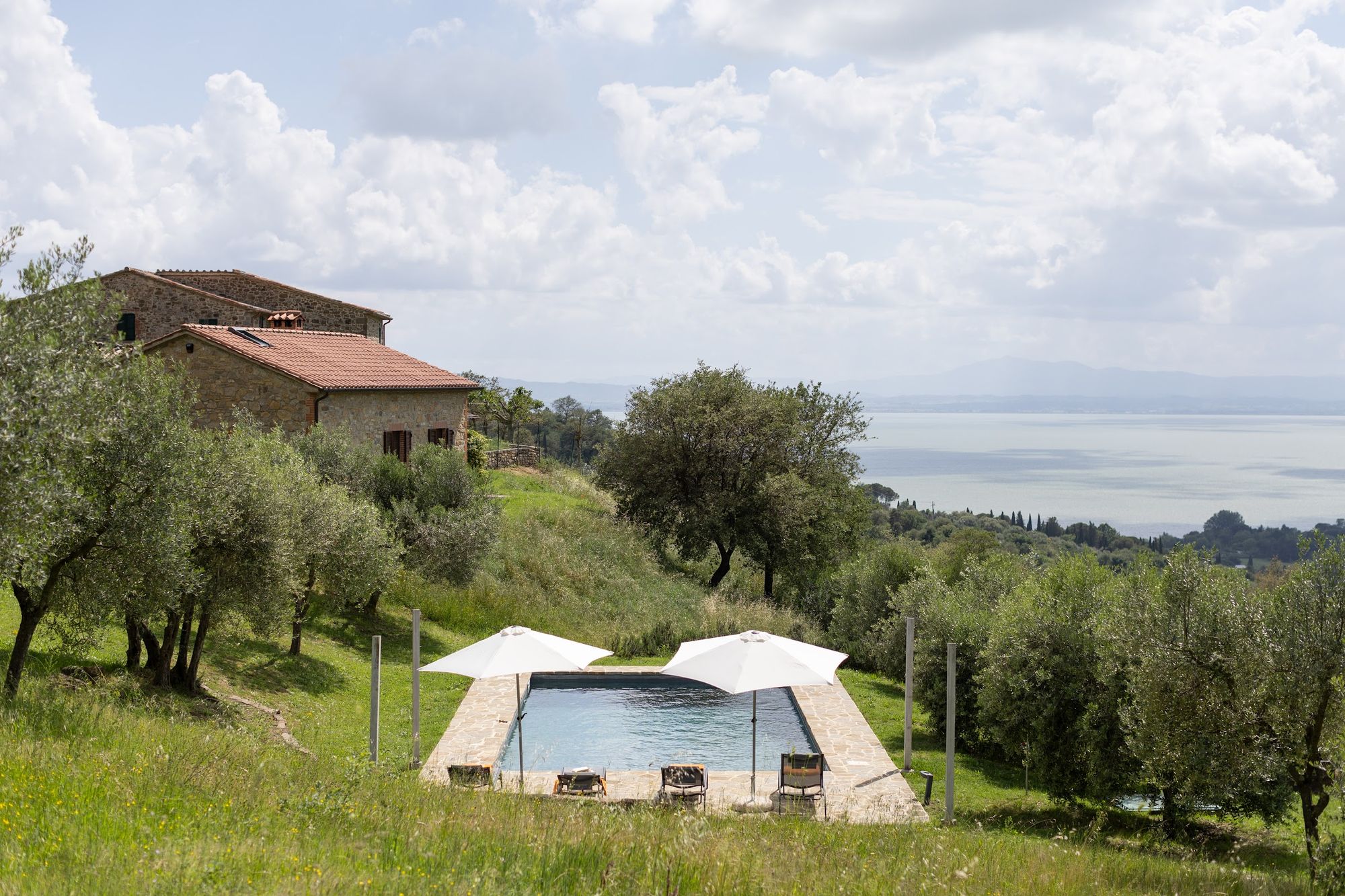 The villa and its private pool set within the olive grove at Casa Campori
