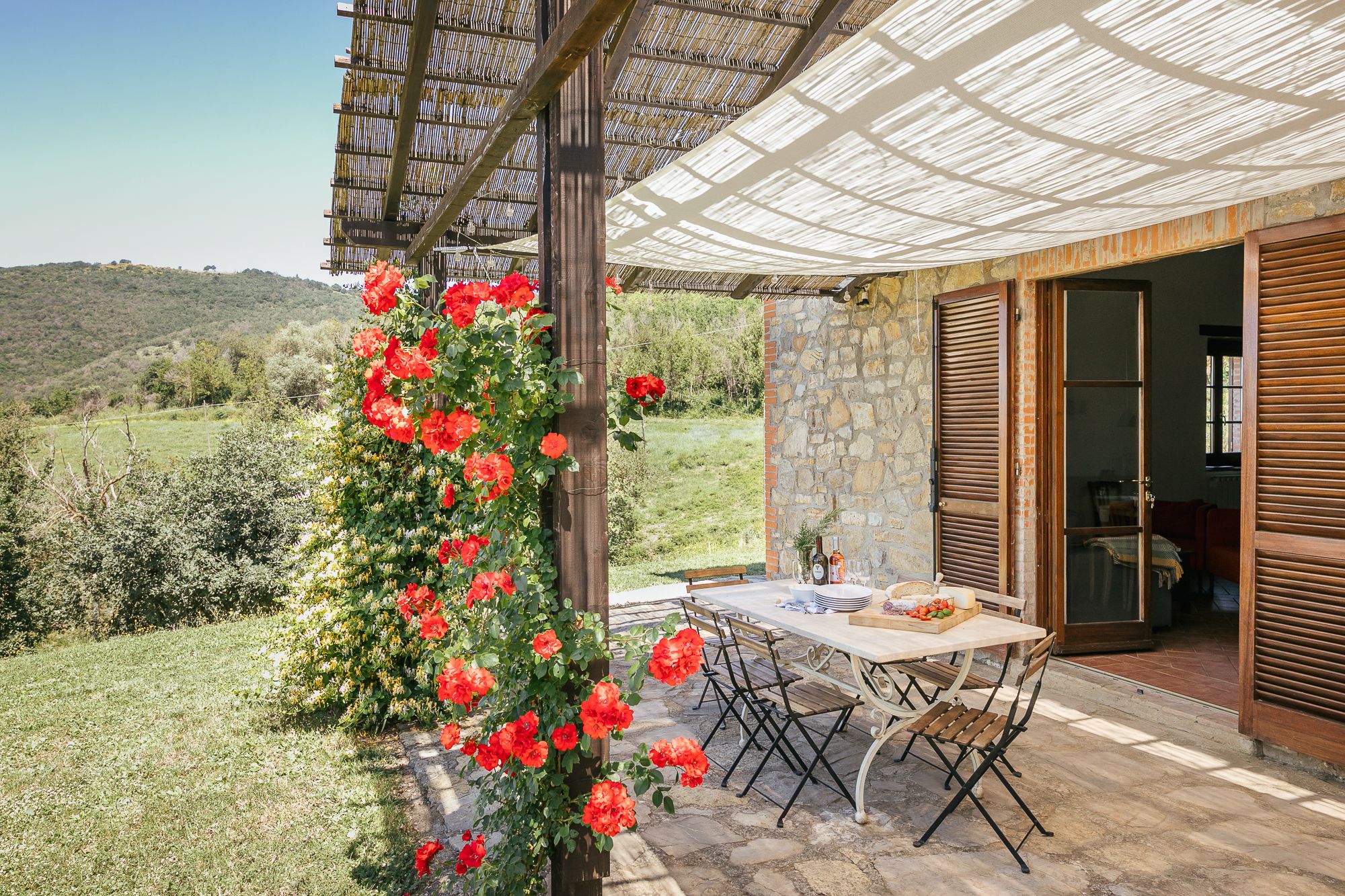 Roses in flower beside the terrace of the villa