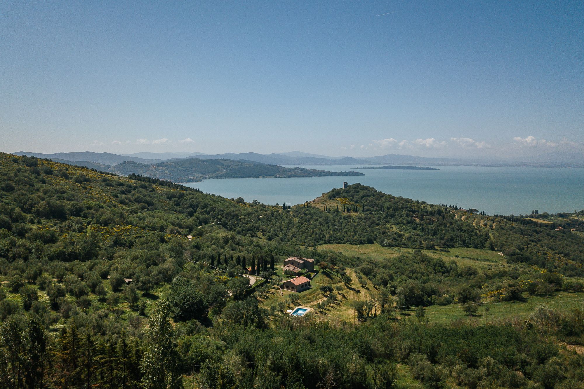 Olive groves and wooded hills running down to Lake Trasimeno