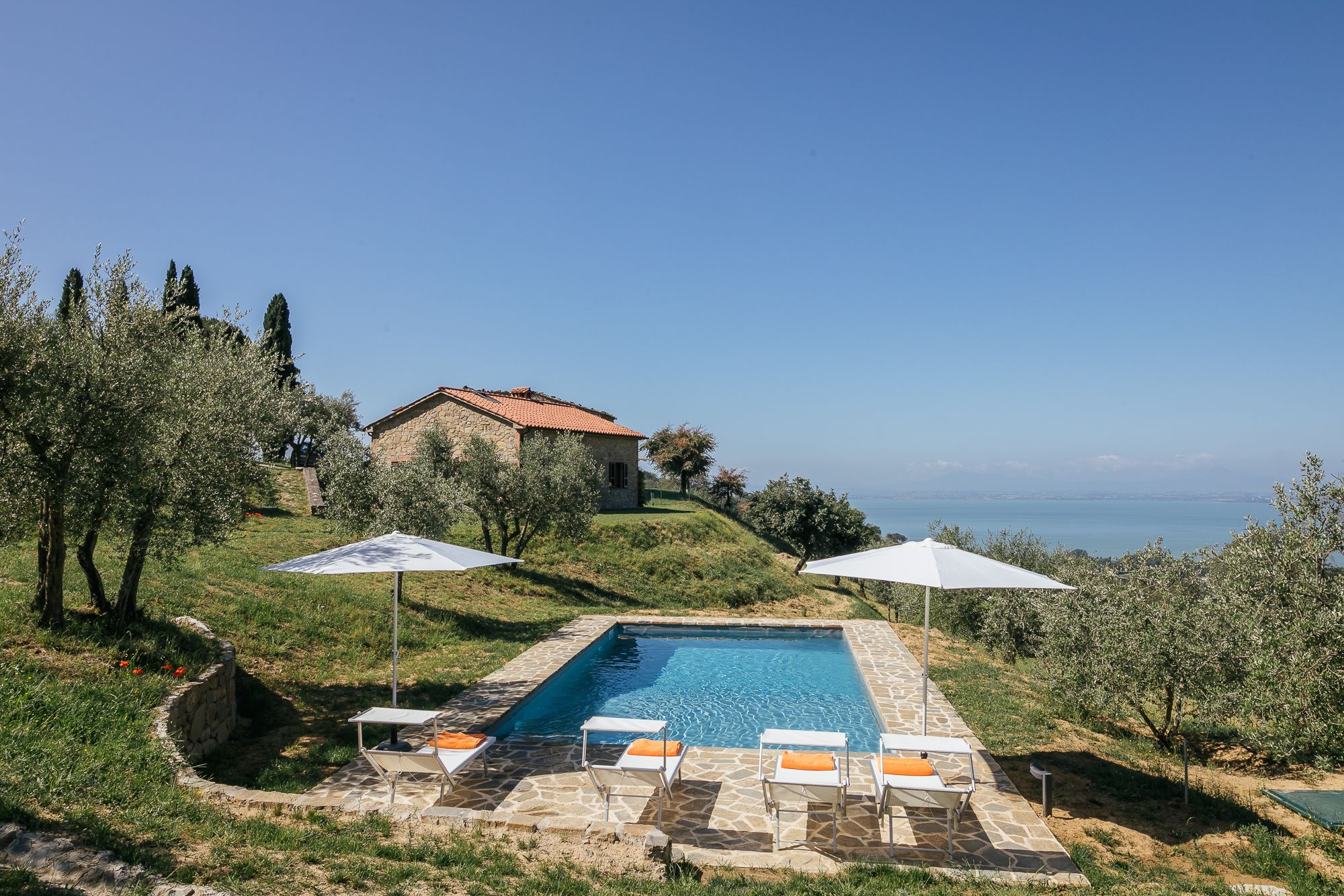 Private pool at Casa Campori framed by olive trees and parasols